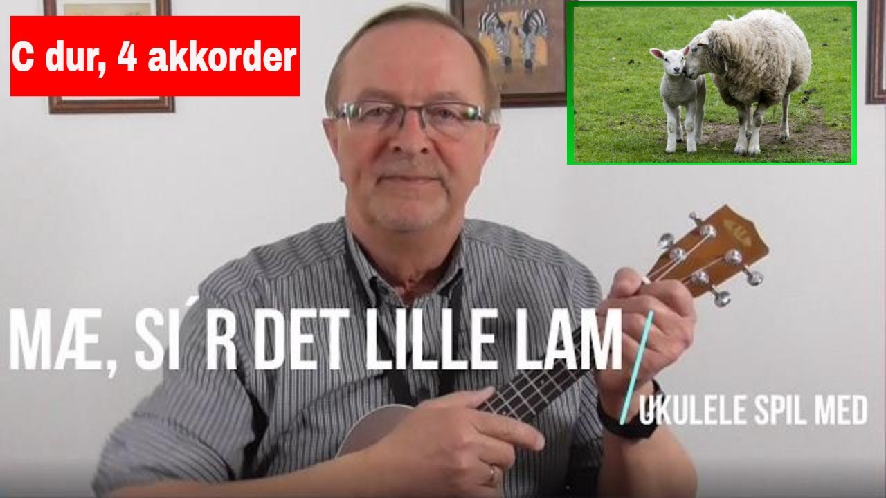Mæ, si´r det lille lam. børnesang. Ukulele Spil Med