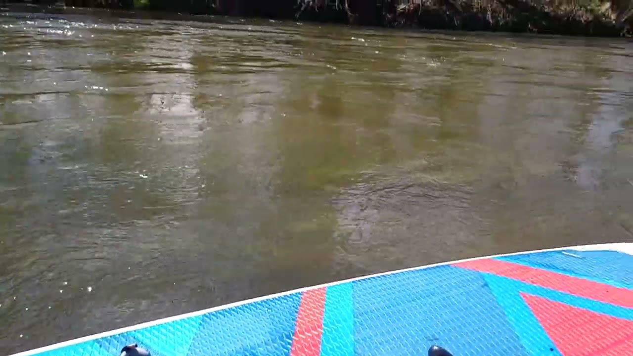 sup bobr river Poland
