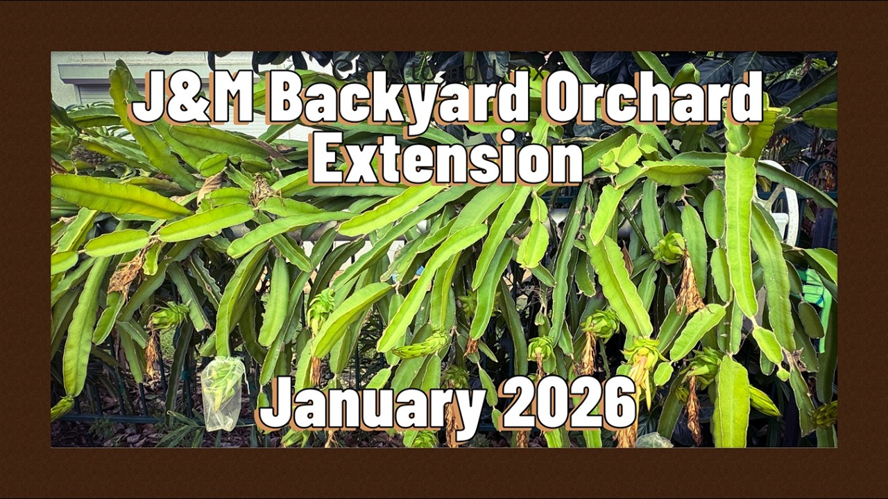 J&M Backyard Orchard Extension Tour