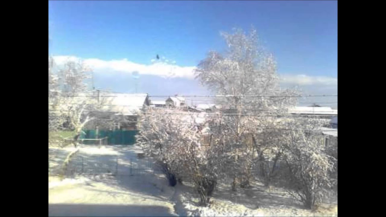 МОЕ СЕЛО. МОИ ОДНОСЕЛЬЧАНЕ -- БОЛЬШОЕ КОЛЕСОВО