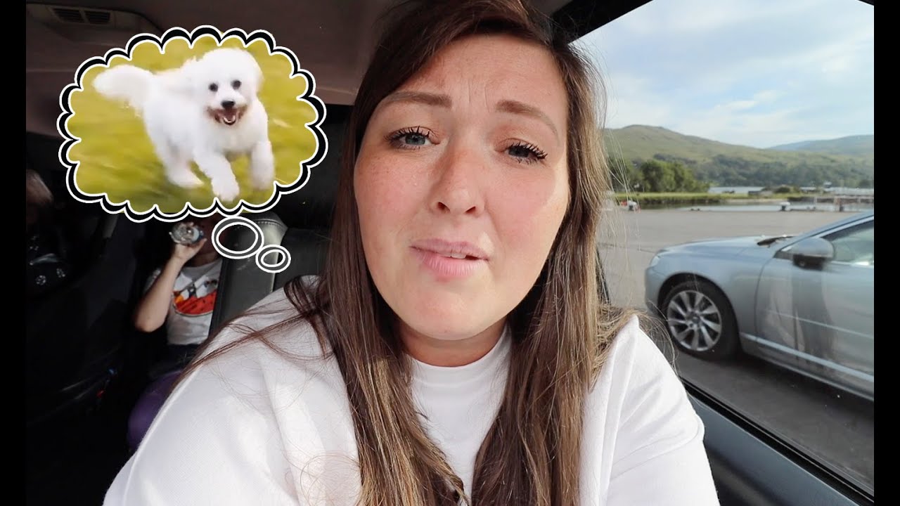 WHAT HAPPENED TO OUR DOG PRINNY?! FORT WILLIAM | SCOTLAND NORTH COAST 500
