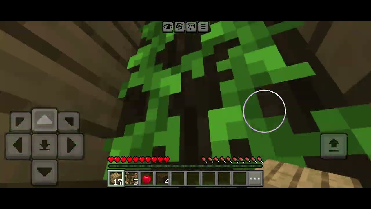 Enjoy Me Playing Minecraft!