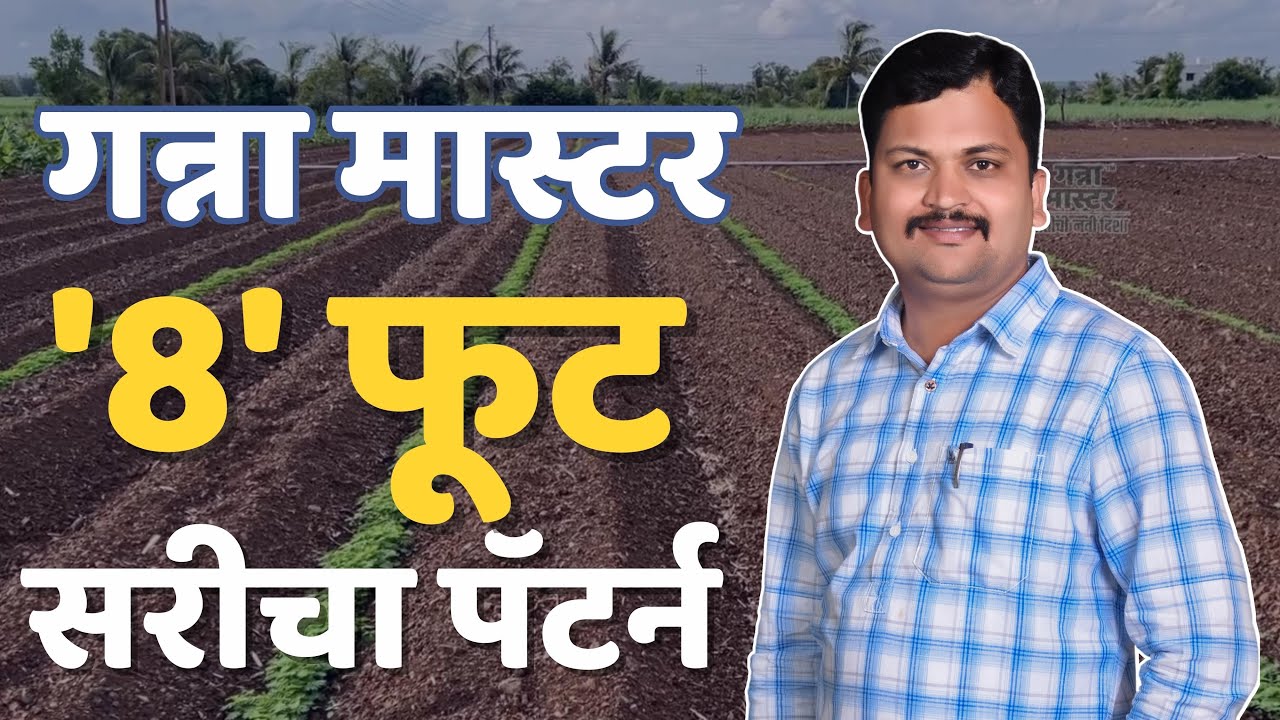 8 फूट सरीचा पॅटर्न | Ganna Master | 8 Feet | गन्ना मास्टर |