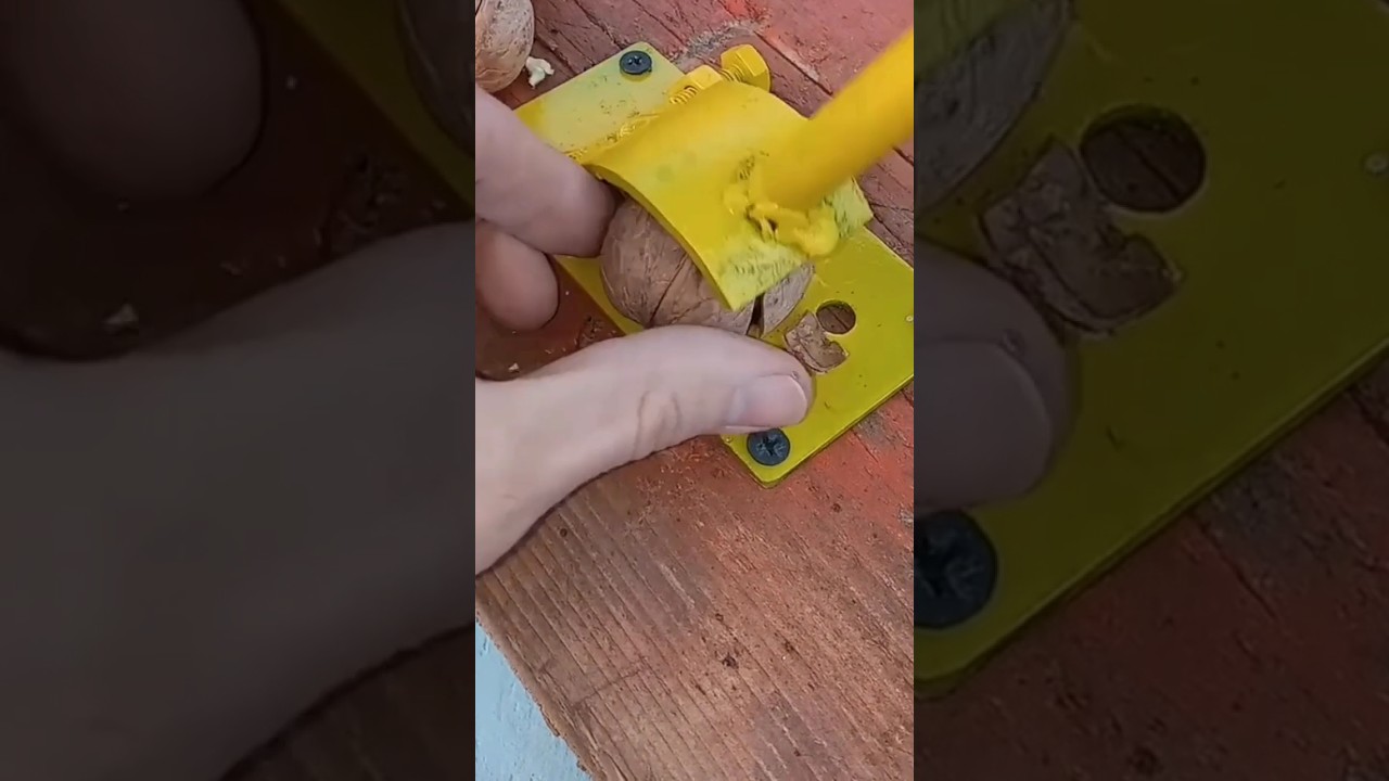 Walnuts Cracking tools at home #walnuts #shorts