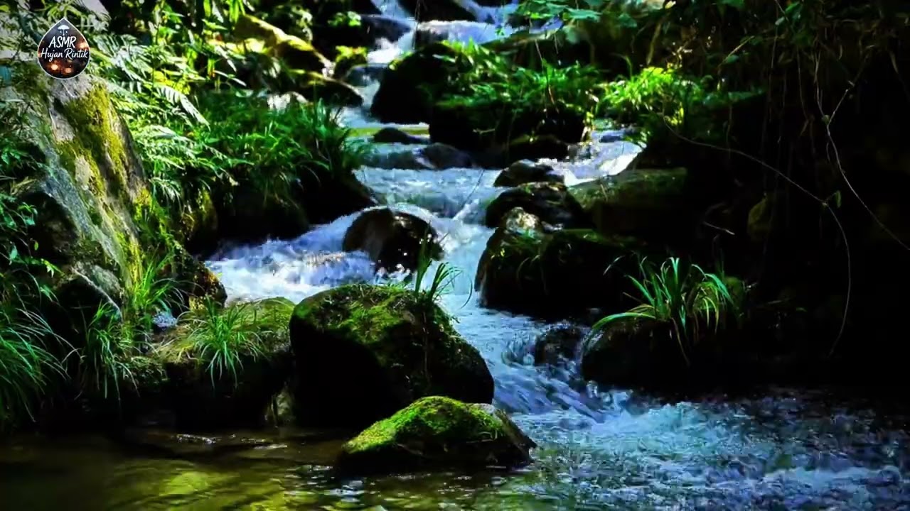Peaceful Natural Scenery | Relaxing Views of Nature in 4K