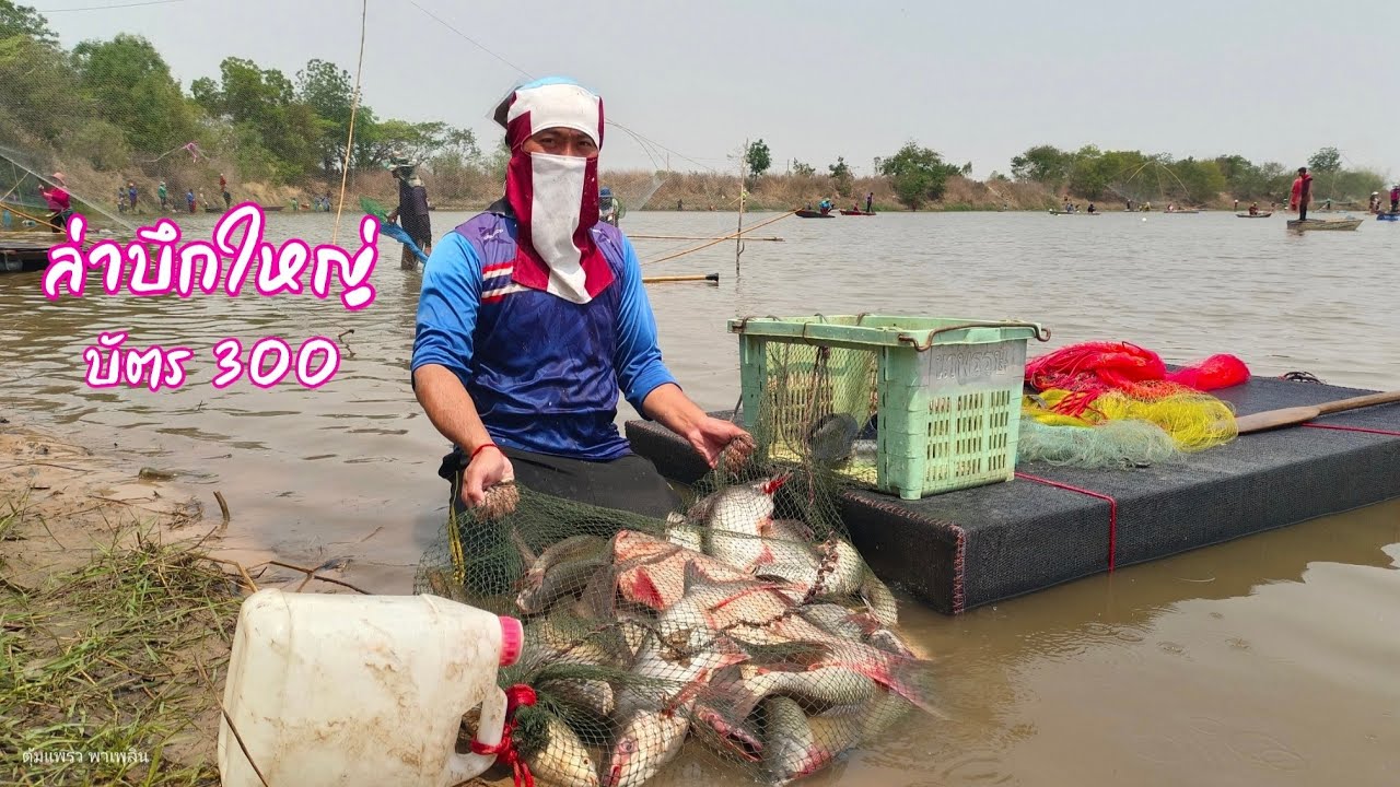 ไกลกว่าเดิม ล่าบึกใหญ่ไซส์ 70โล บ.เสอเพลอ อ.กุมภวาปี จ.อุดรธานี บัตร300บ. / ตุ้มแพรว พาเพลิน EP.780