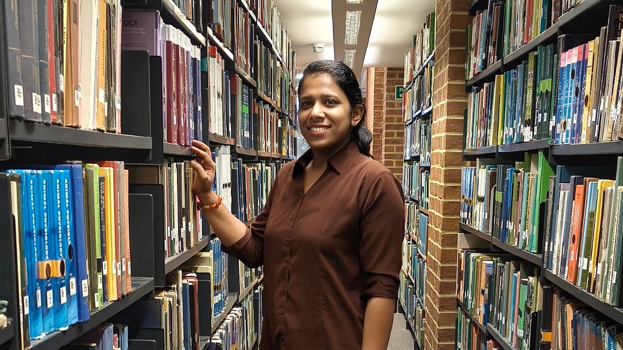 Quiet, Cozy, Perfect 📖 | Sussex Library Walkthrough