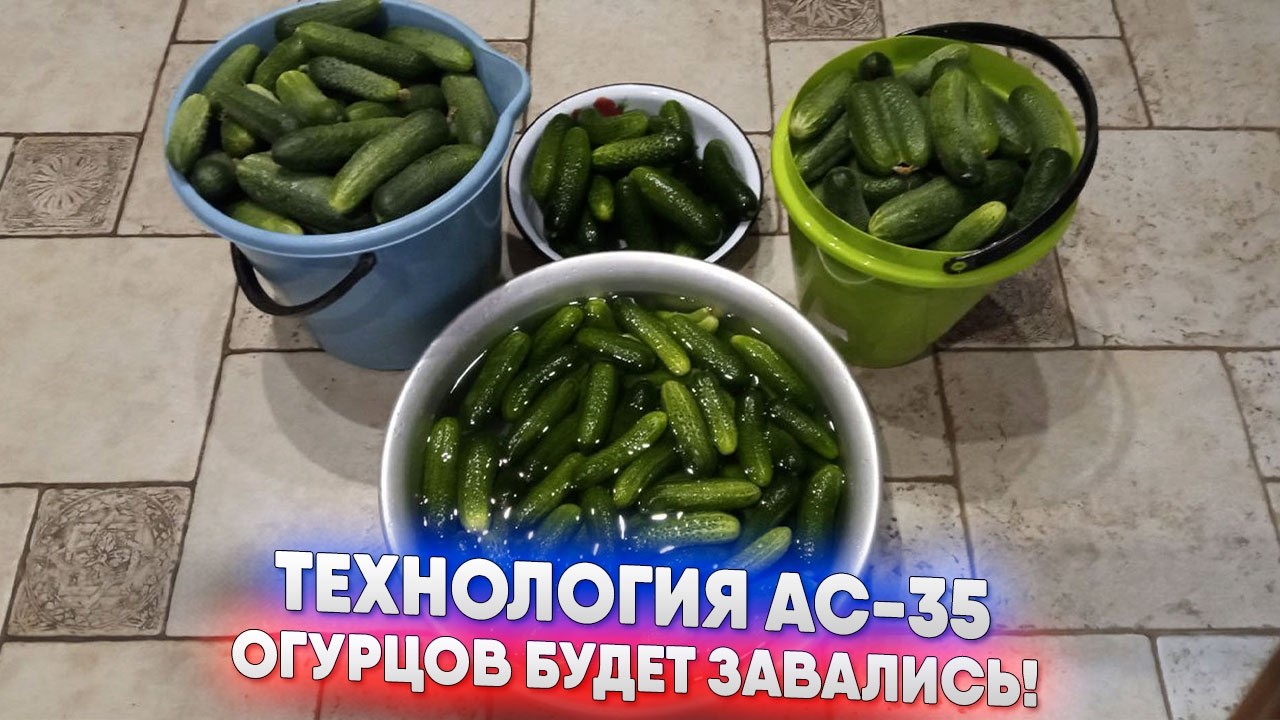 Технология АС-35.Огурцов будет завались!