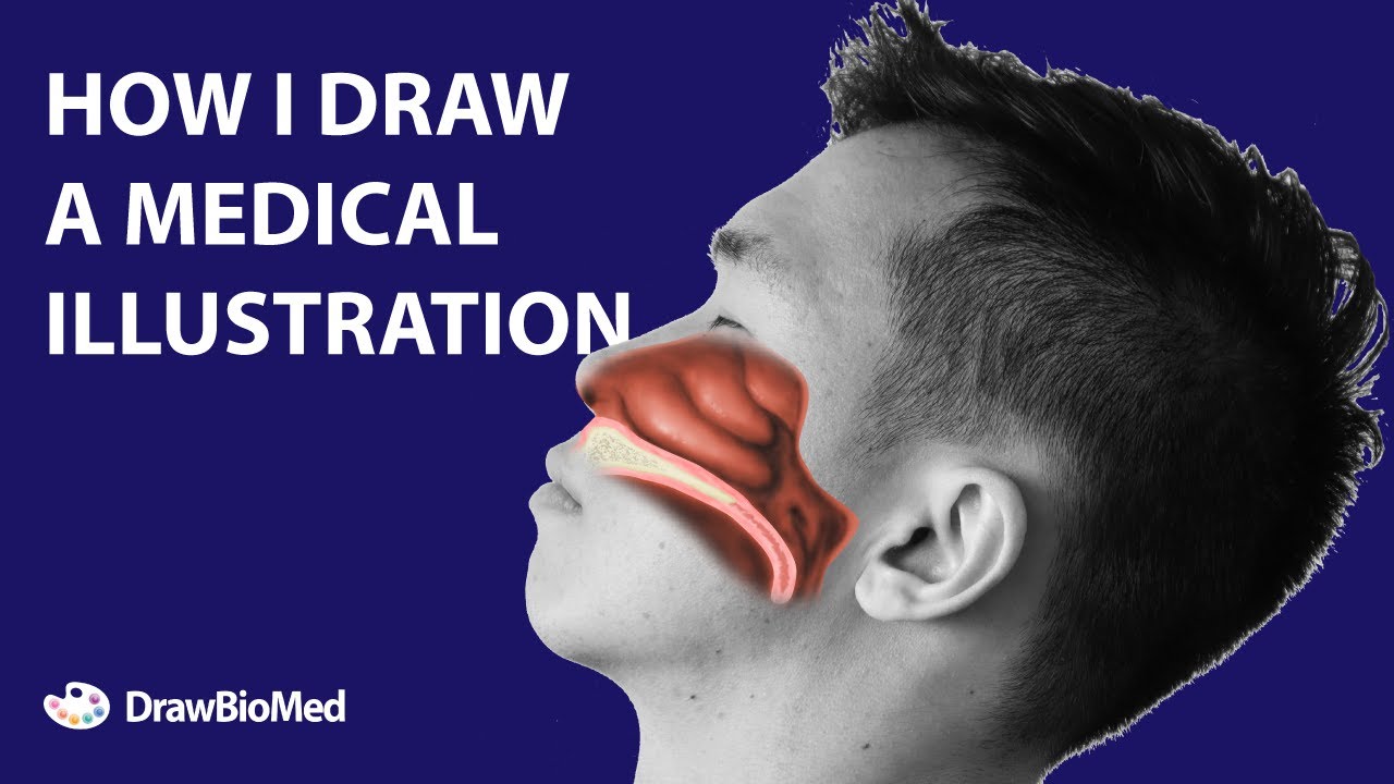 My Medical Illustration Process | Nasal Cavity | Nasopharyngeal Swab | Scientific Illustration