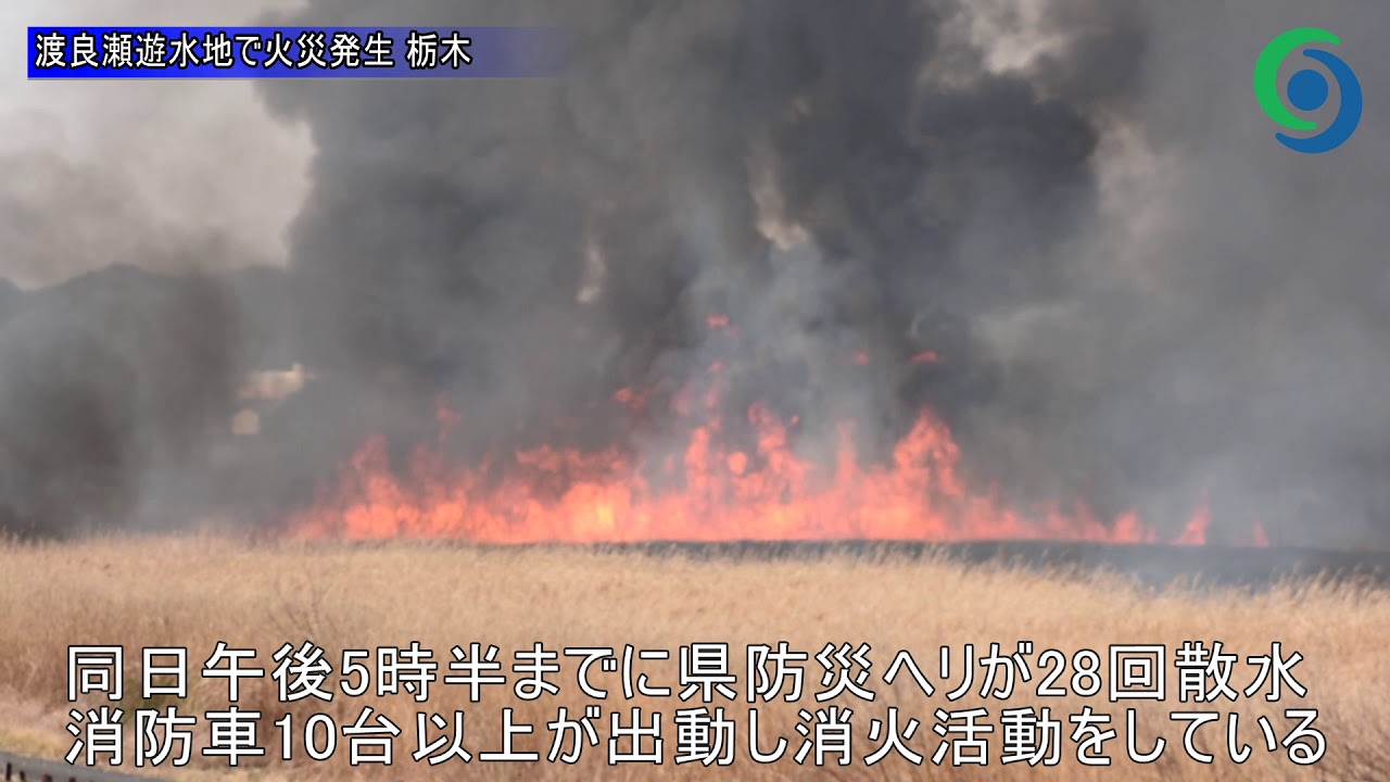 渡良瀬遊水地のヨシ原で火災発生 栃木