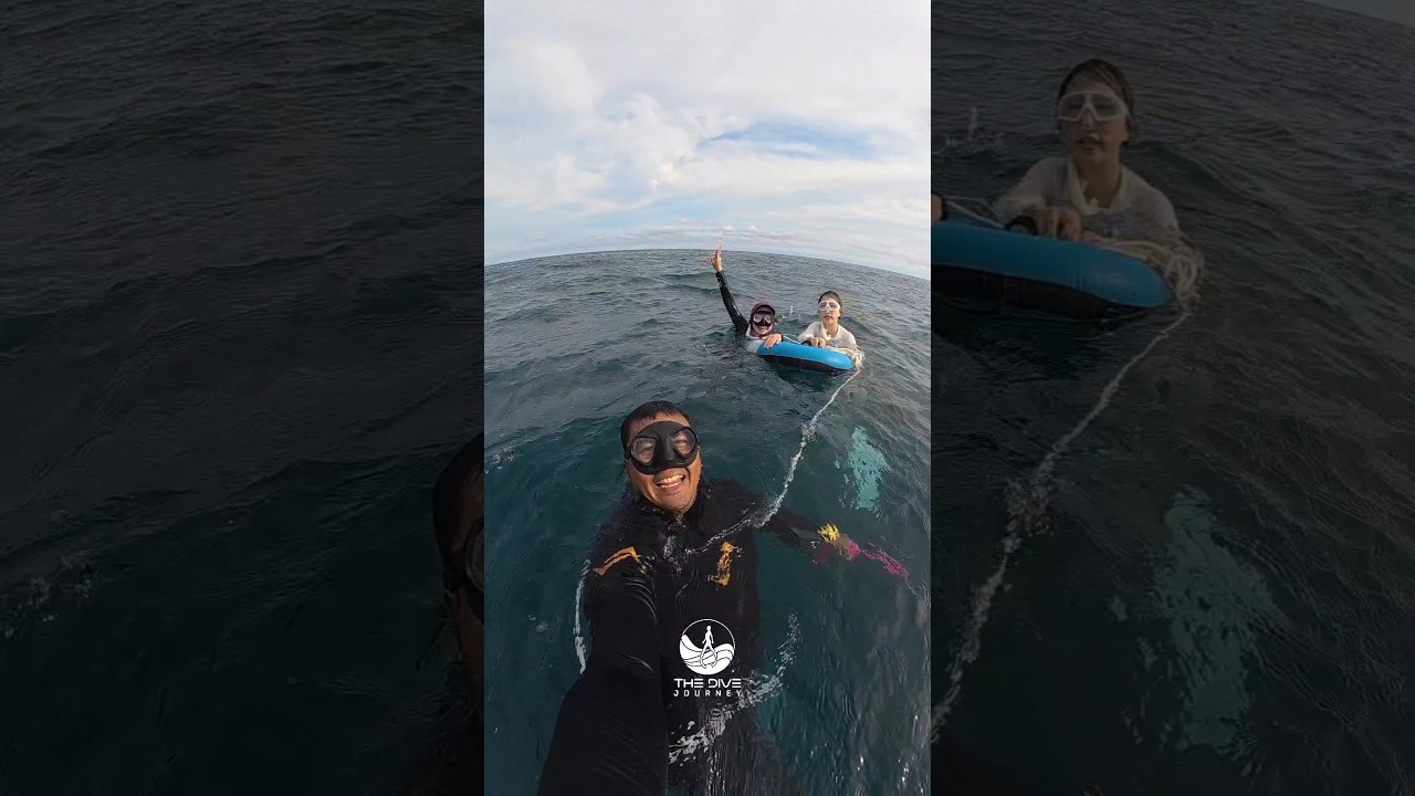 THE DIVE JOURNEY | Half-Day Private Training with Longtail Boat🛶