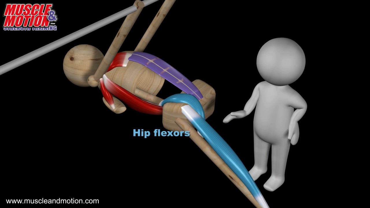 Street Workout, Front Lever , Active Muscles
