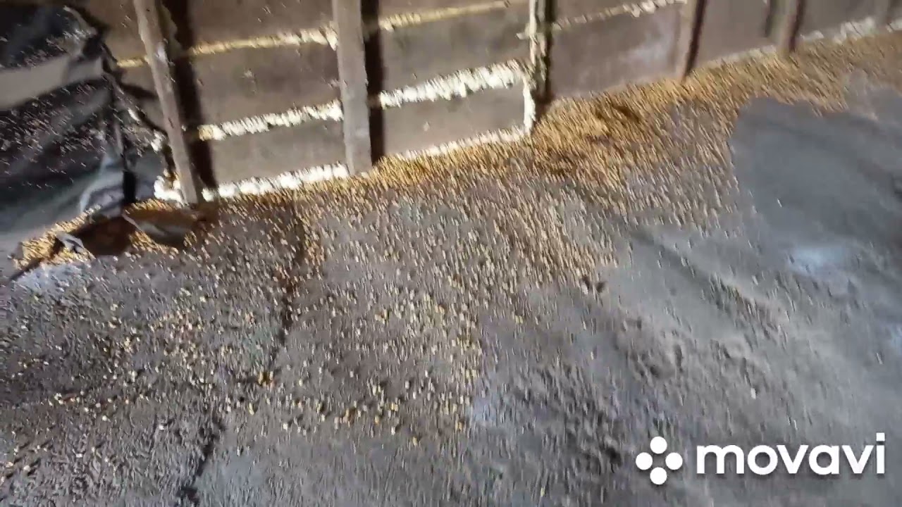 ангар для зерна