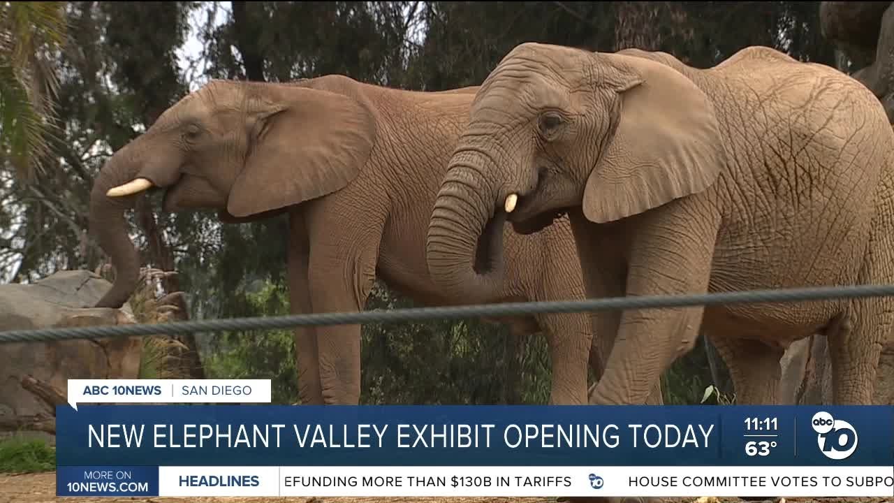 Denny Sanford Elephant Valley Opens Thursday