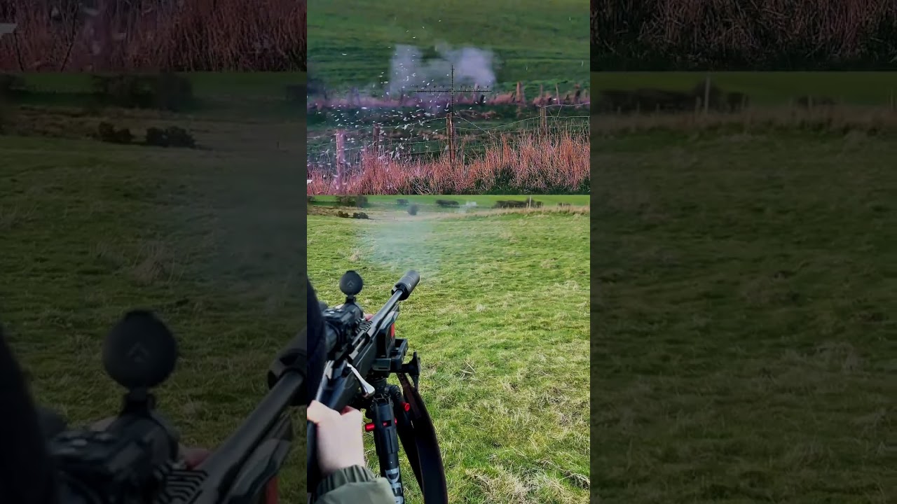 Pigeon vs 22-250 | 40 Grain | Tikka T3X