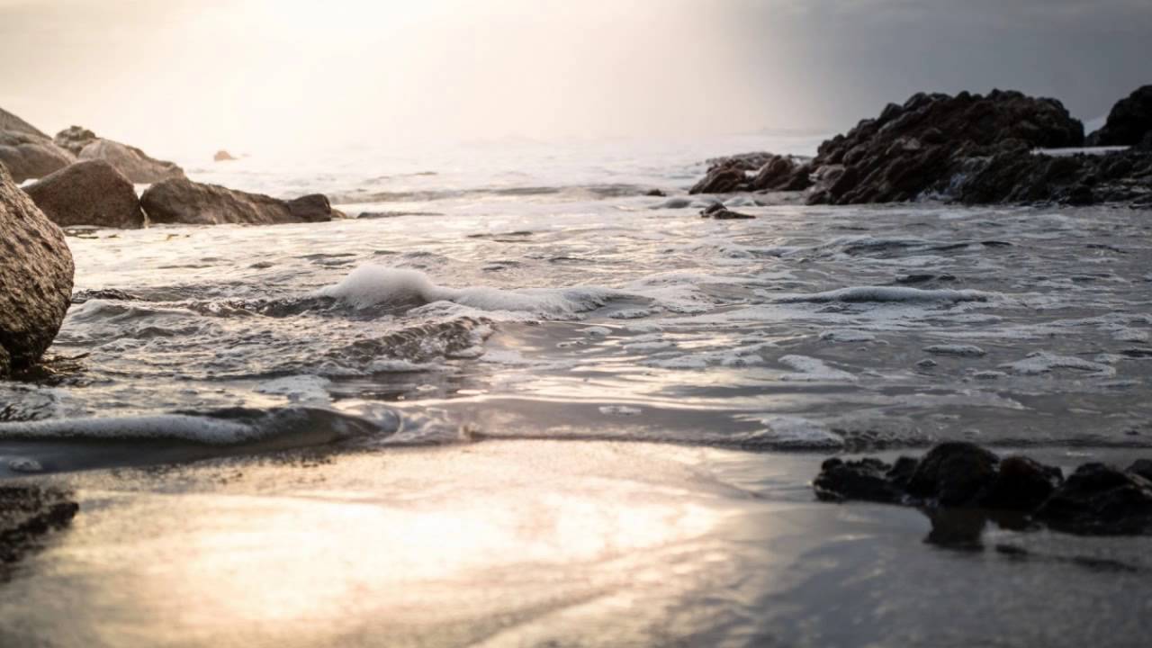 Orlogin - For the Money