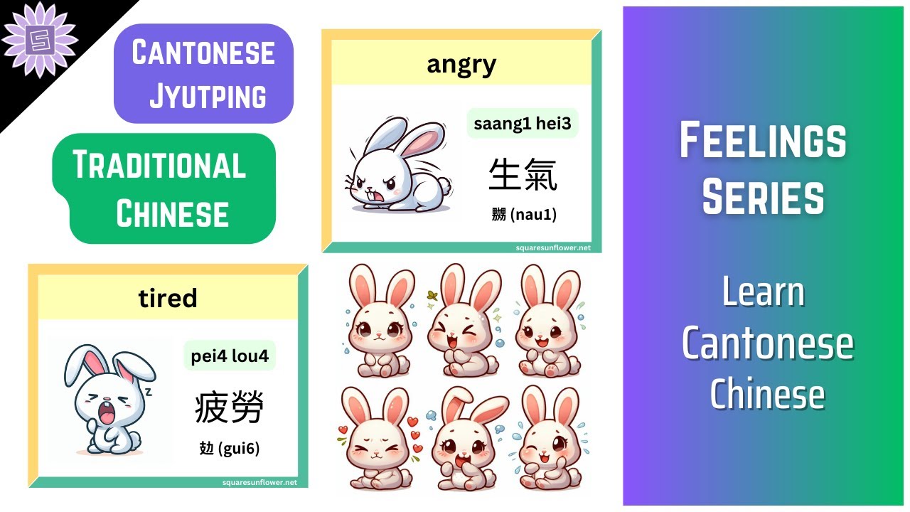 [Cantonese] Learn Feelings Emotions Words In Cantonese For Beginners With Jyutping Pronunciations
