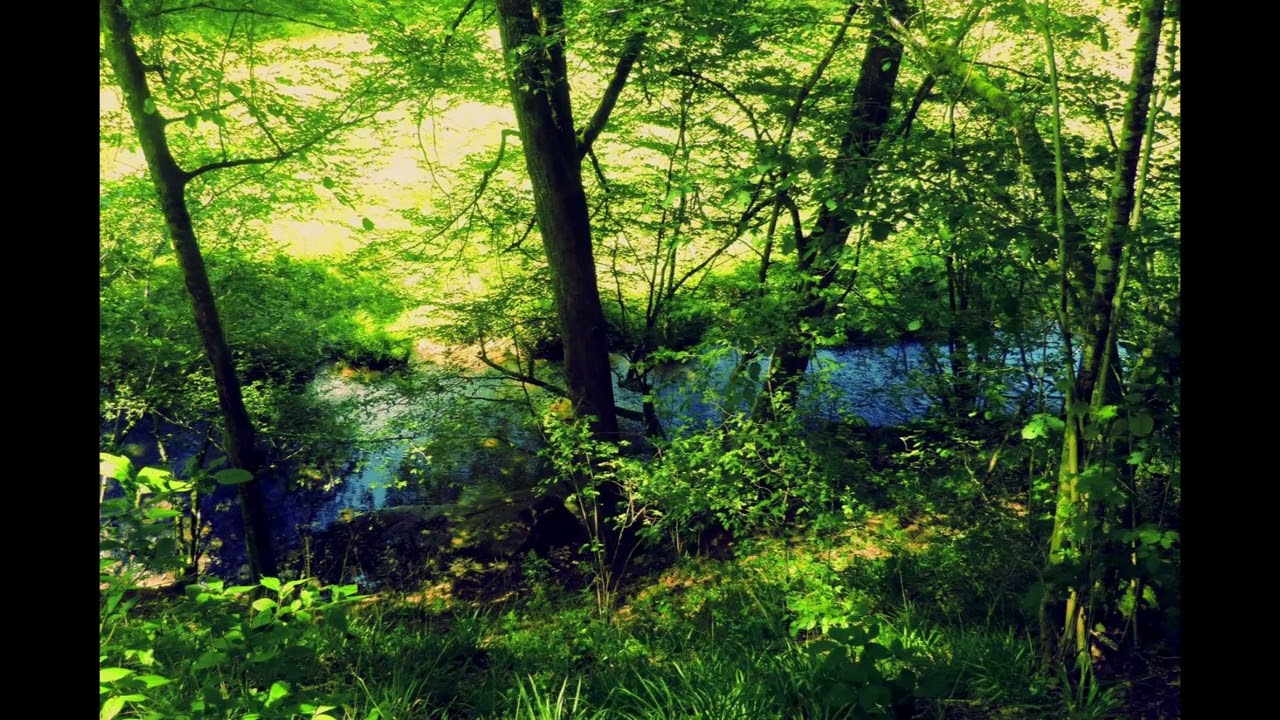 Lumières d' été ( ensemble de cordes, claviers , chœur et flûte)