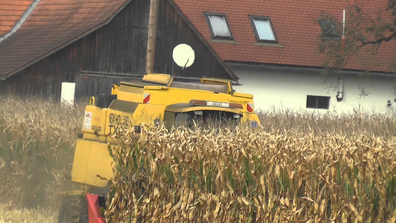 Körnermais Ernte Dreschen mit New Holland Ende  September 2015  zum mahlen in Großen Hoch Silo