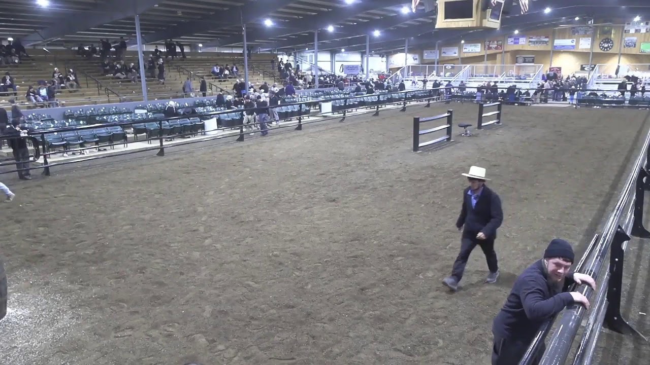 Topeka Livestock Auction Live Stream