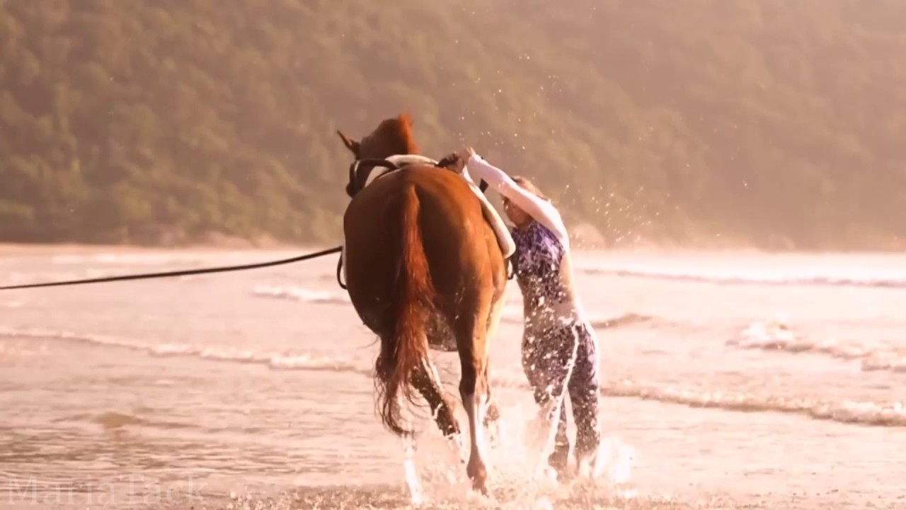 The Ocean || Equine Vaulting Music Video
