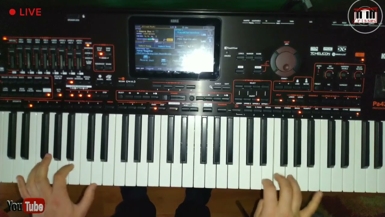 #V302 🔝 Colaj hore mișcate...acordeon, ca la Moldova !😅