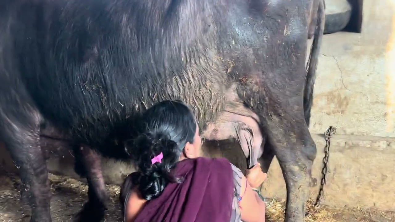 काजल बहुत सुंदर लग रही हैं