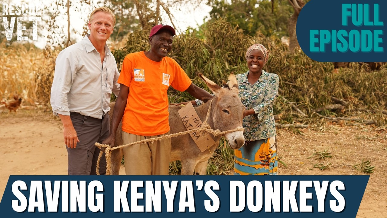 From Skin To Skincare: The Shocking Truth Behind The Donkey Skin Trade with Dr Scott Miller