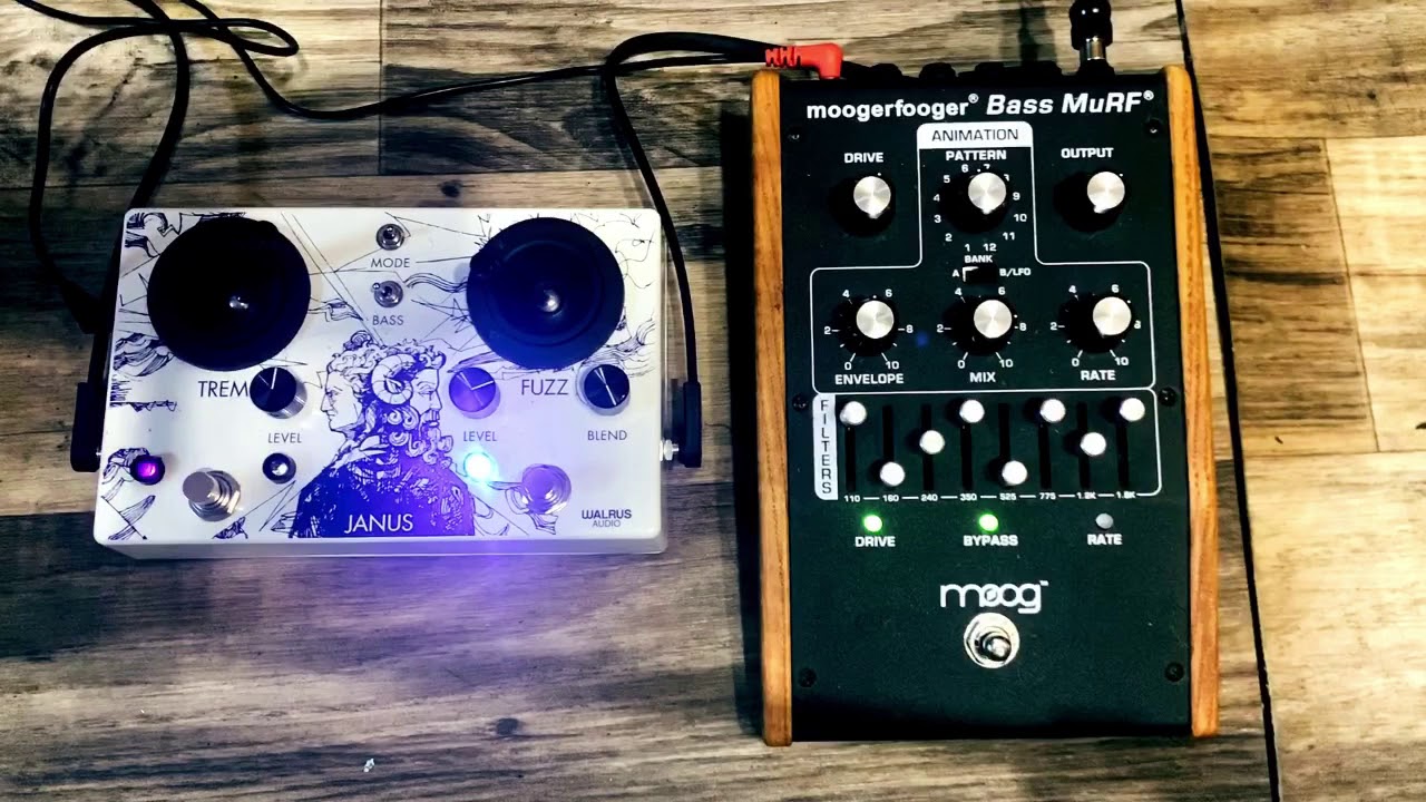 Moog - Bass Murf & Walrus Audio - Janus (Bass Demo) #23