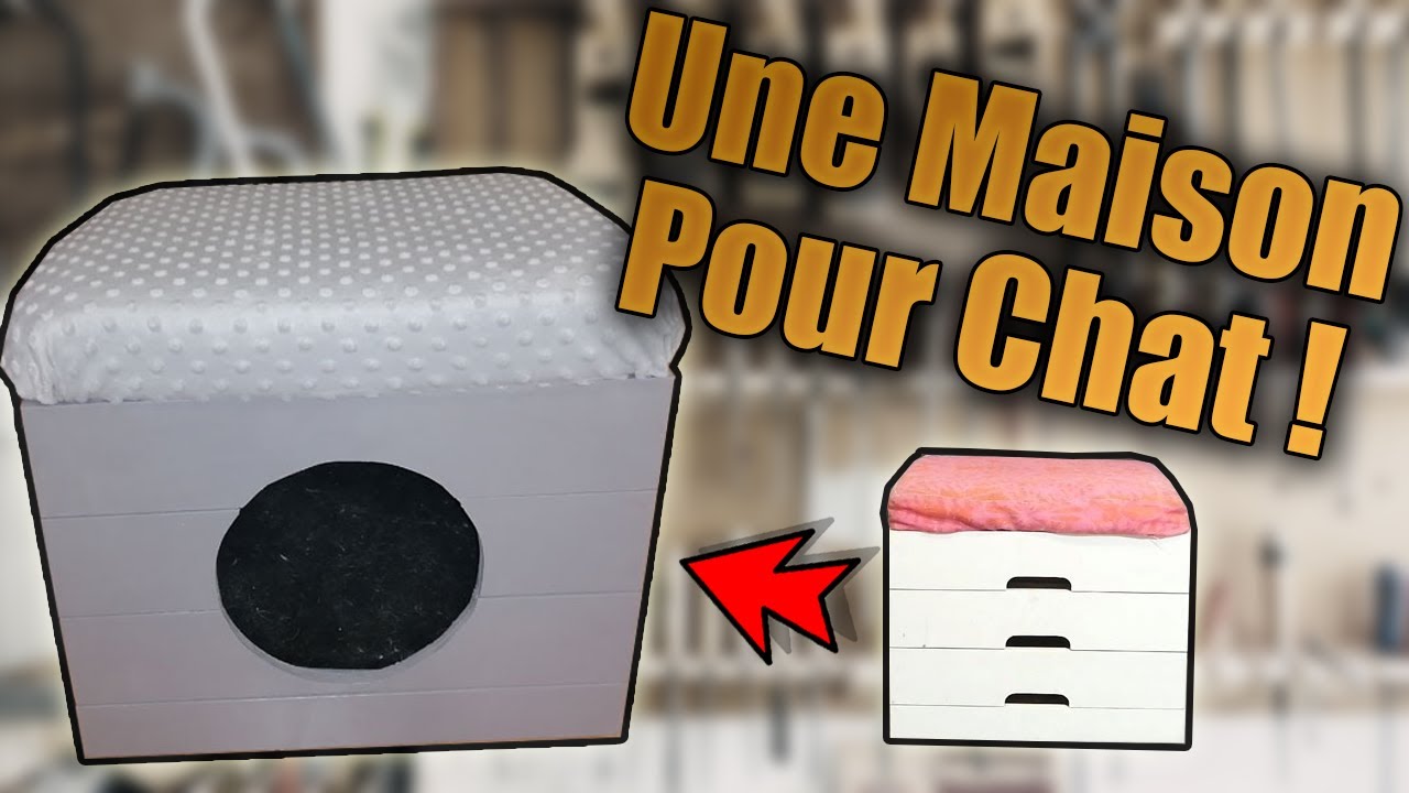 Fabriquer une Cabane pour Chat - DIY