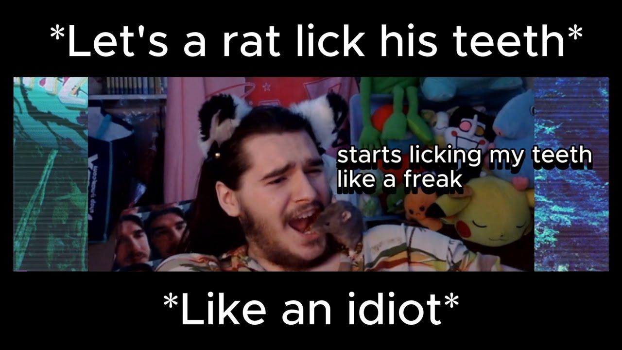 Out of context Dankus Clips that lick my teeth.