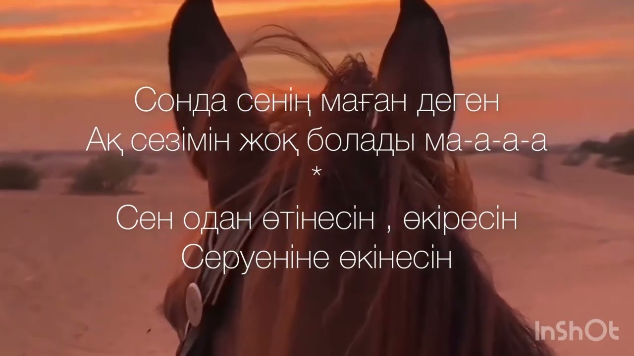 DBB09N-Aro Қимастық жыры
