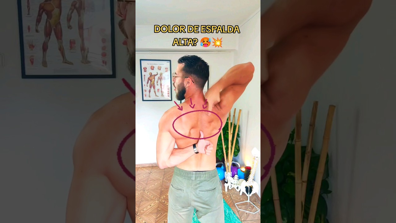 TE ENSE&Ntilde;O EL MEJOR EJERCICIO PARA EL DOLOR DE ESPALDA ALTA ✅