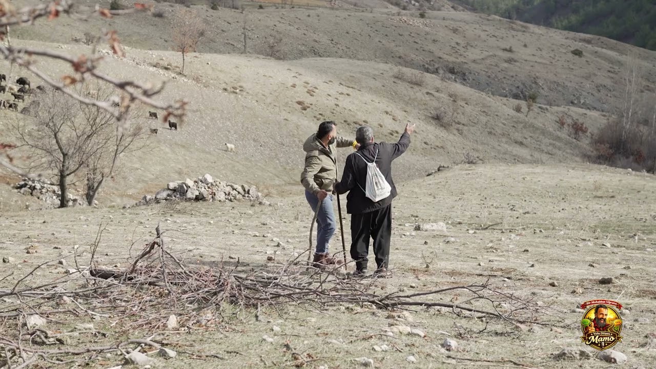 YOLA DÜSEN MAMO 2 PAZARCIK CAMLICA/VELOLAR MAHALLESI
