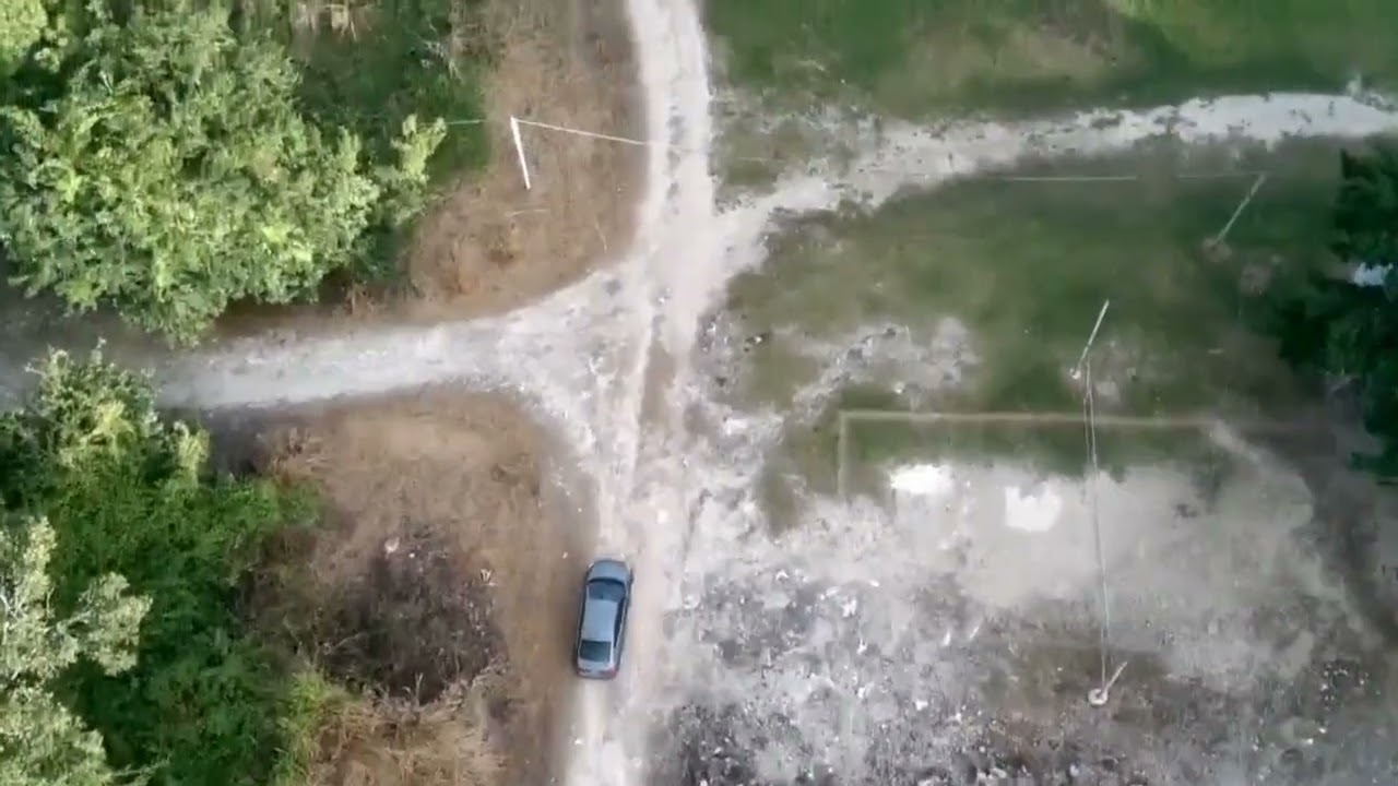Birds eye