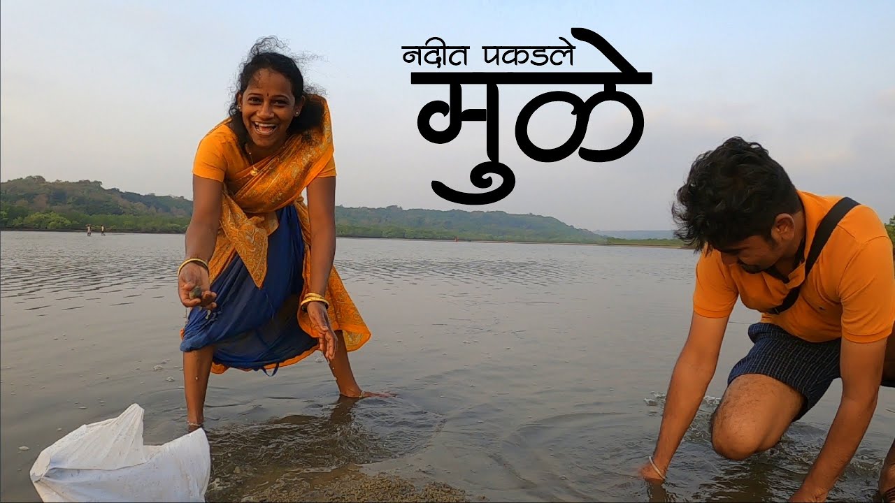 देवगडातील मिठमुंबरी नदीतील मुळे (शिंपल्या) | Colours Of Konkan | Clams Catching