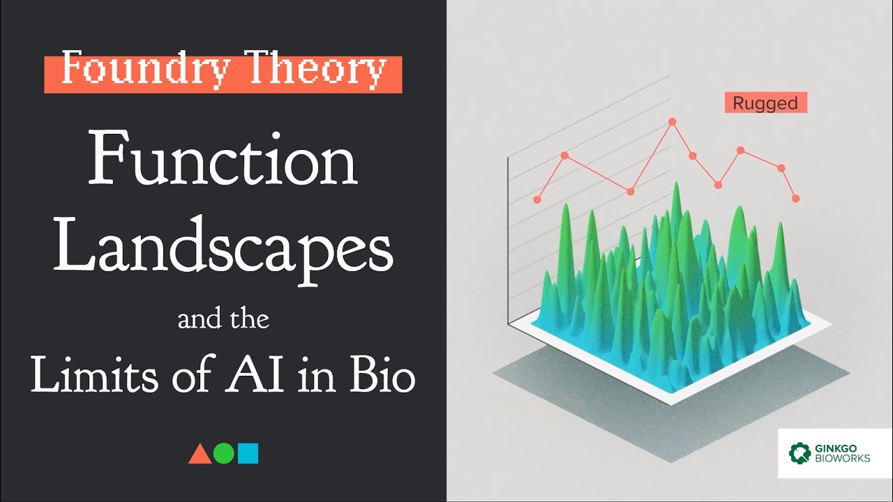 FT018 - Function Landscapes and the Limits of AI for Bio
