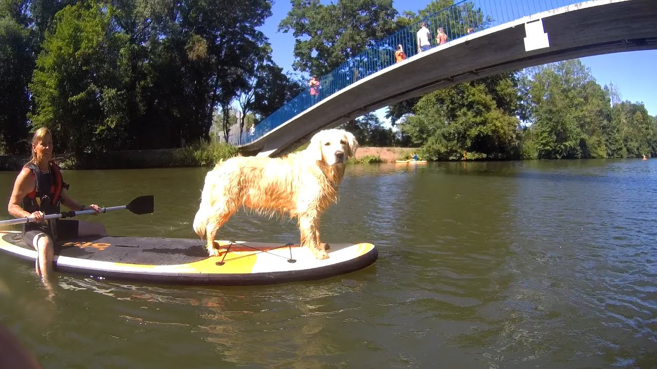 Stand Up Paddling auf der stillen Enz