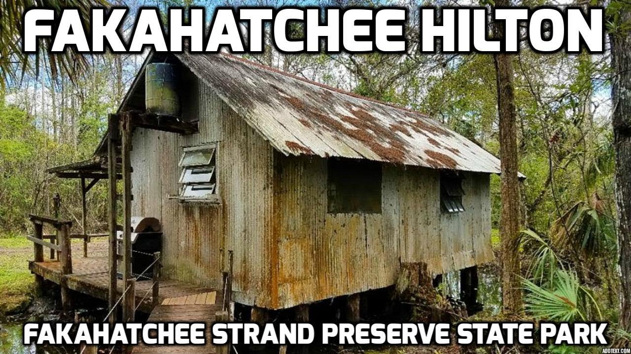 Fakahatchee Hilton - East Main Tram Hike