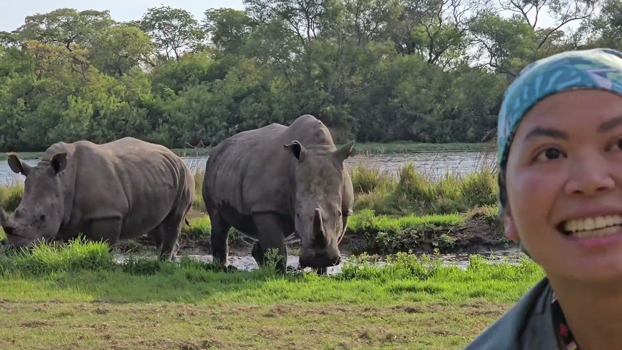 Trying to be a rhino but it didn't really work 😅