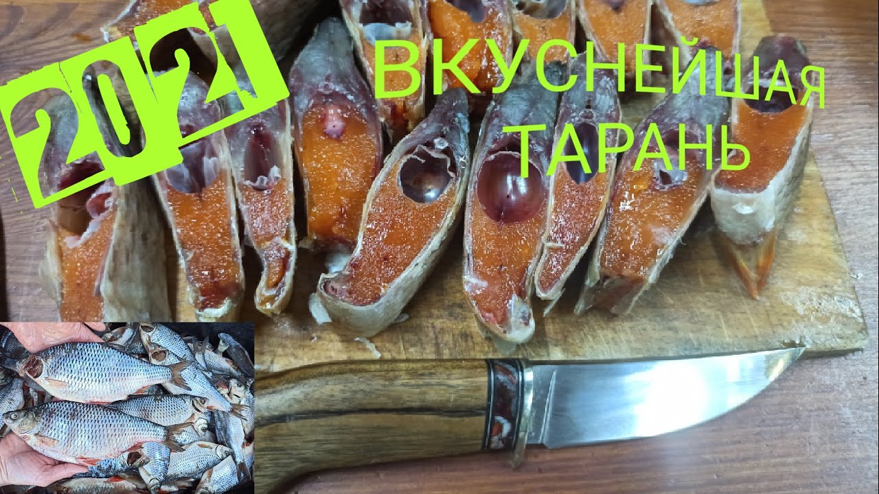 засолка 130 килограмм тарани сухим посолом за один раз ))) 😋 тарани много не бывает)))🔥🔥🔥