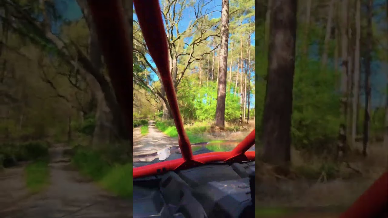 Dreamy drive through the pinewood&rsquo;s #canamlife #canamoffroad #canamoffroadlivin #northnorfolk #x3