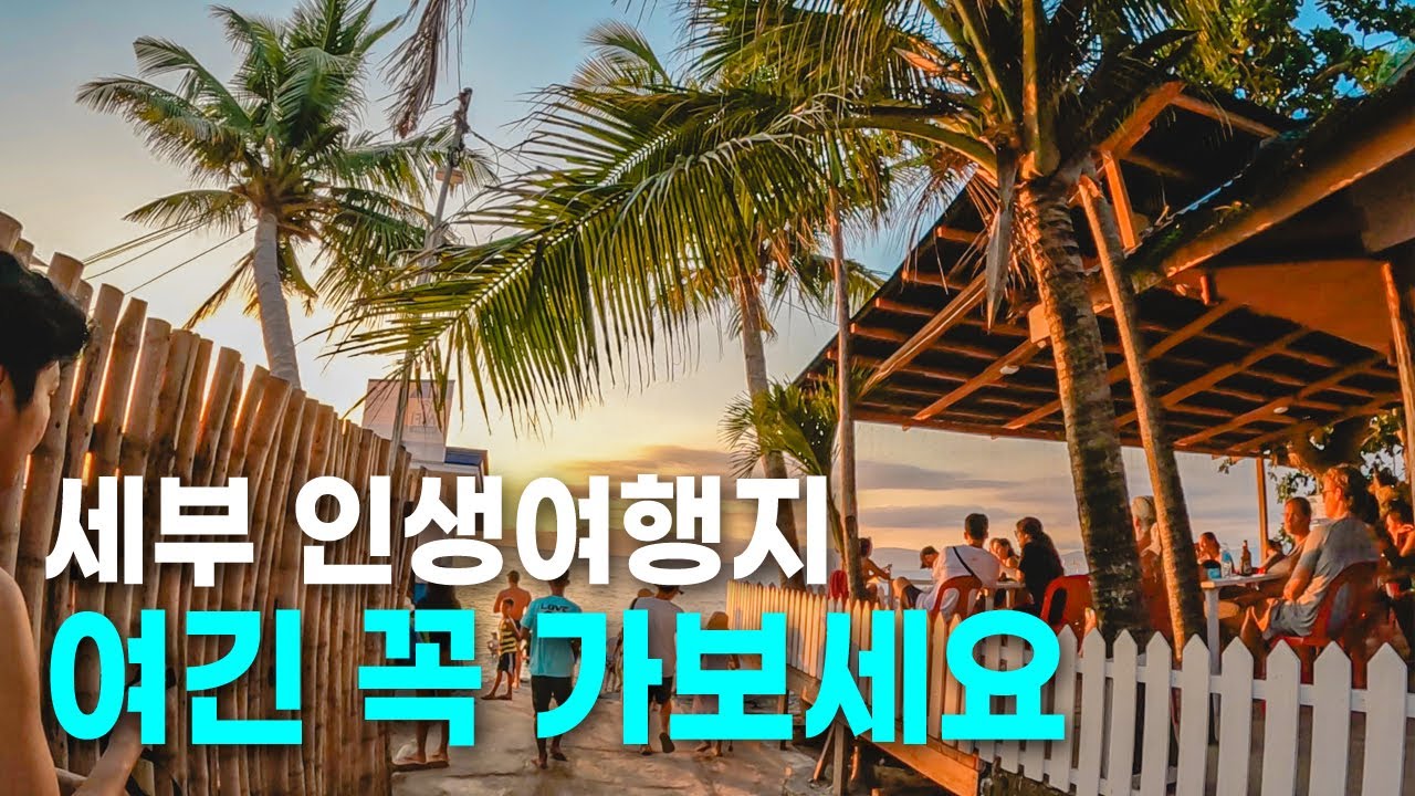 🇵🇭세부 자유여행ep.2 꼭 가봐야할 환상적인 세부여행지 l 모알보알 호핑투어 없이 정어리떼 스노클링, 가성비 숙소 추천 트리쉐이드 리조트, 남부투어 커플여행 코스 경비,맛집놀거리
