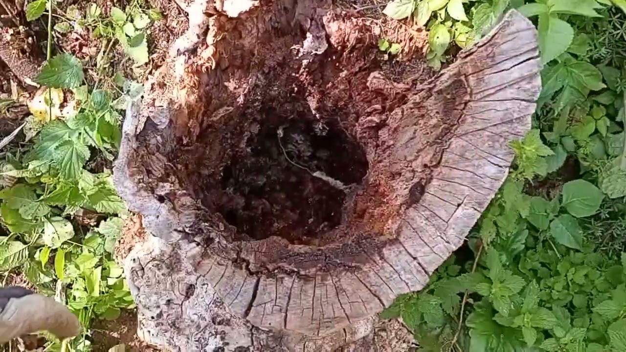 Opet je radno pogledajte sta sada sve radimo