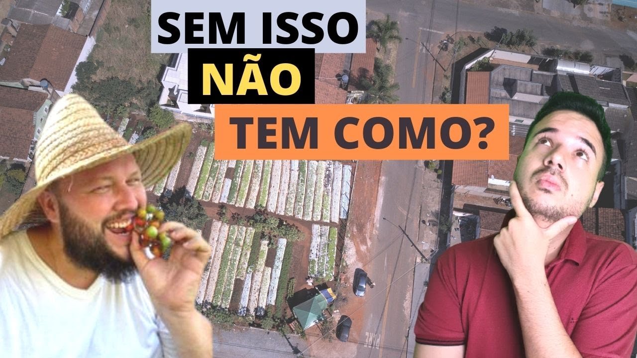 Como comercializar hortaliças de 3 maneiras e ter mais lucro