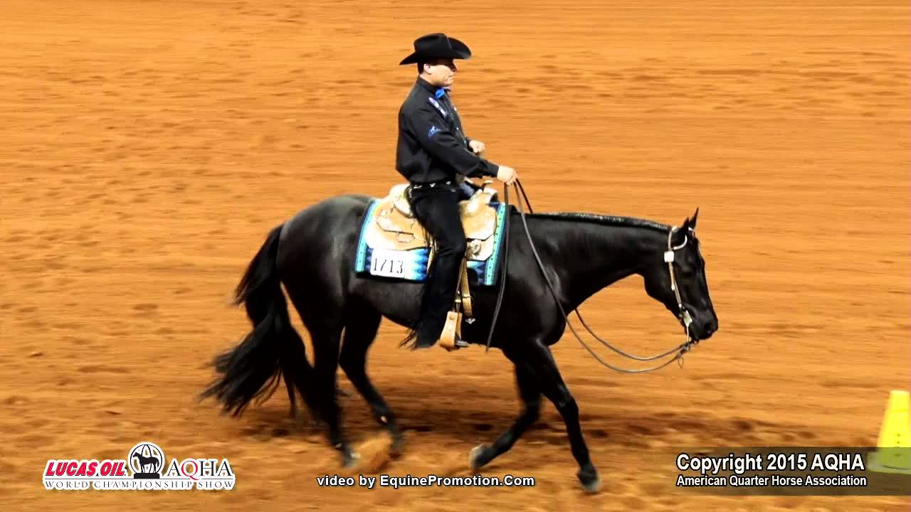 IMA PETITE CLASSIC ridden by CHARLIE I COLE  - 2015 AQHA World Show (FINALS - Sr Western Riding L3)