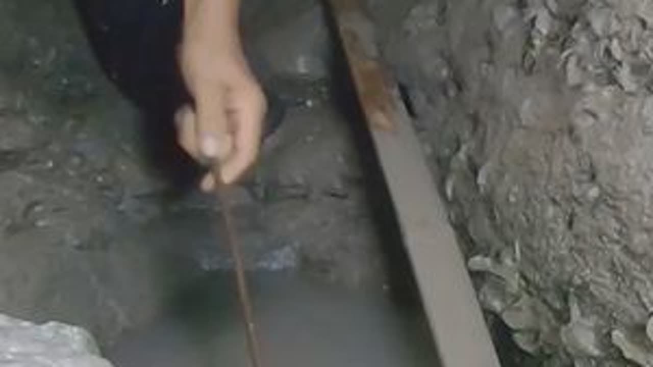 晚饭后泰叔去赶赶海，找货时捡到一个小方桶，没想到这桶立大功了 #赶海 #抓螃蟹 #螺 #海鲜 #青蟹