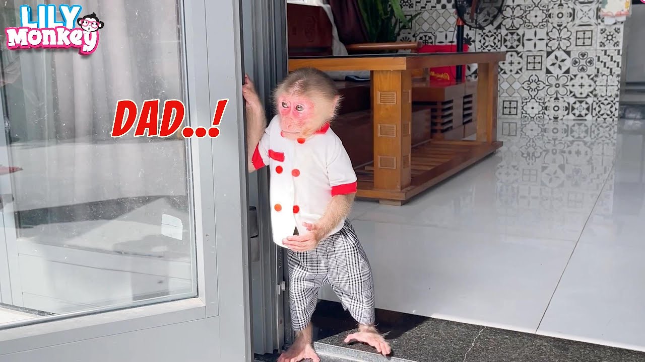 What happened to Lily when Dad asked uncle to look after her? | Lily's story