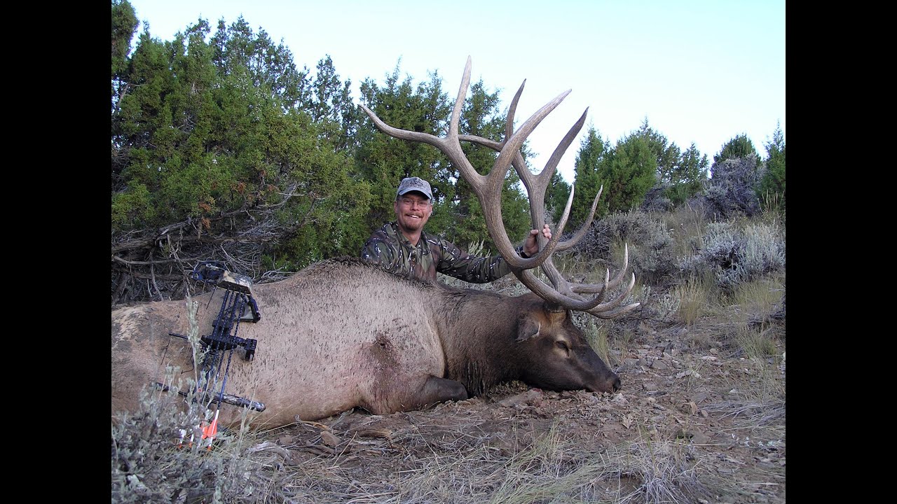 Mastering Your Elk Calling; Does it Really Matter if You Know What You Are Saying?