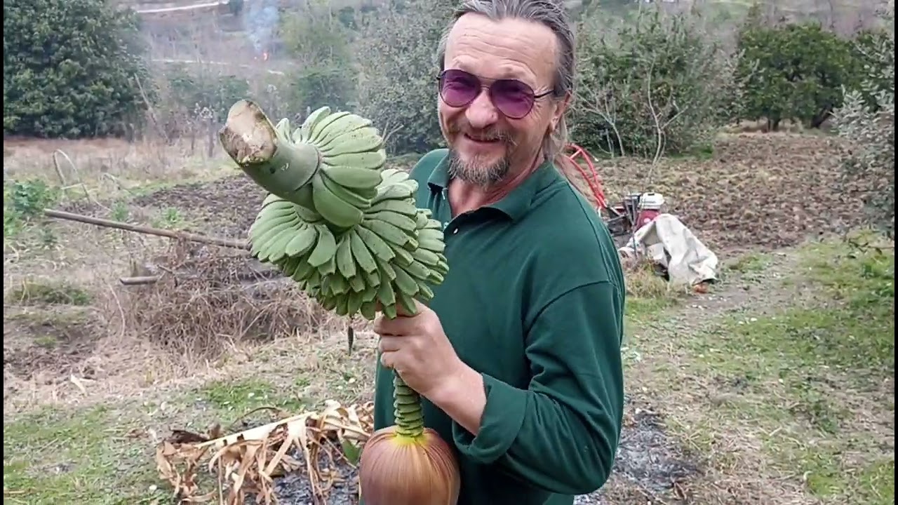 На весну в Абхазию, день 111. Я снова в Парнауте!